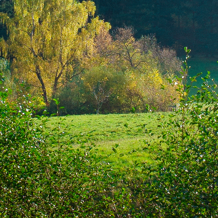 Detail-Ausschnitt aus dem oberen Bild