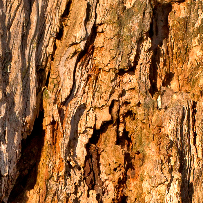 Detail-Ausschnitt aus dem oberen Bild