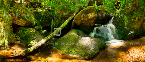Bild Wasserfall im Bach