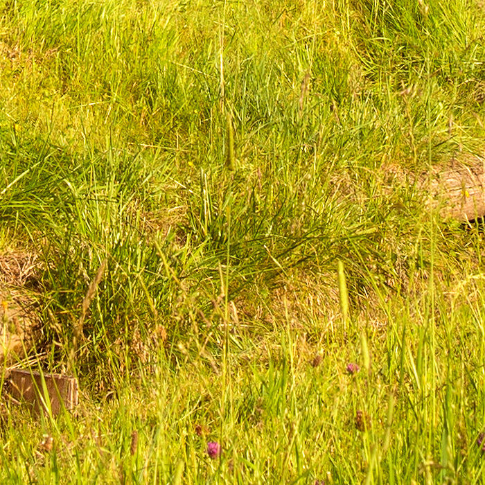 Detail-Ausschnitt aus dem oberen Bild