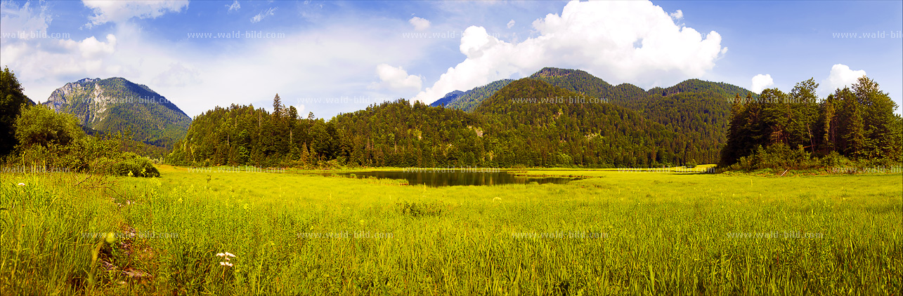 großes Foto Bergsee Waldsee