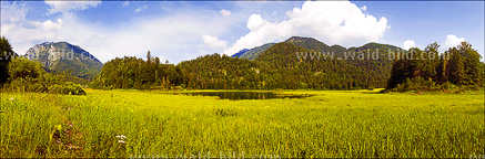 großes Foto Bergsee Waldsee
