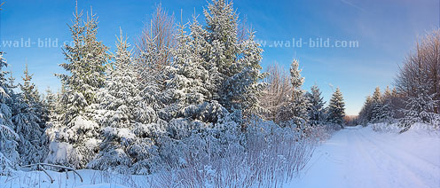 Wanderweg im Winter