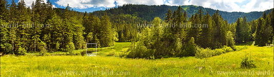 Panoramabild vom Feldberg Feldsee gross hochaufgeloest