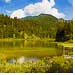 Panorama Waldsee hochaufgeloest
